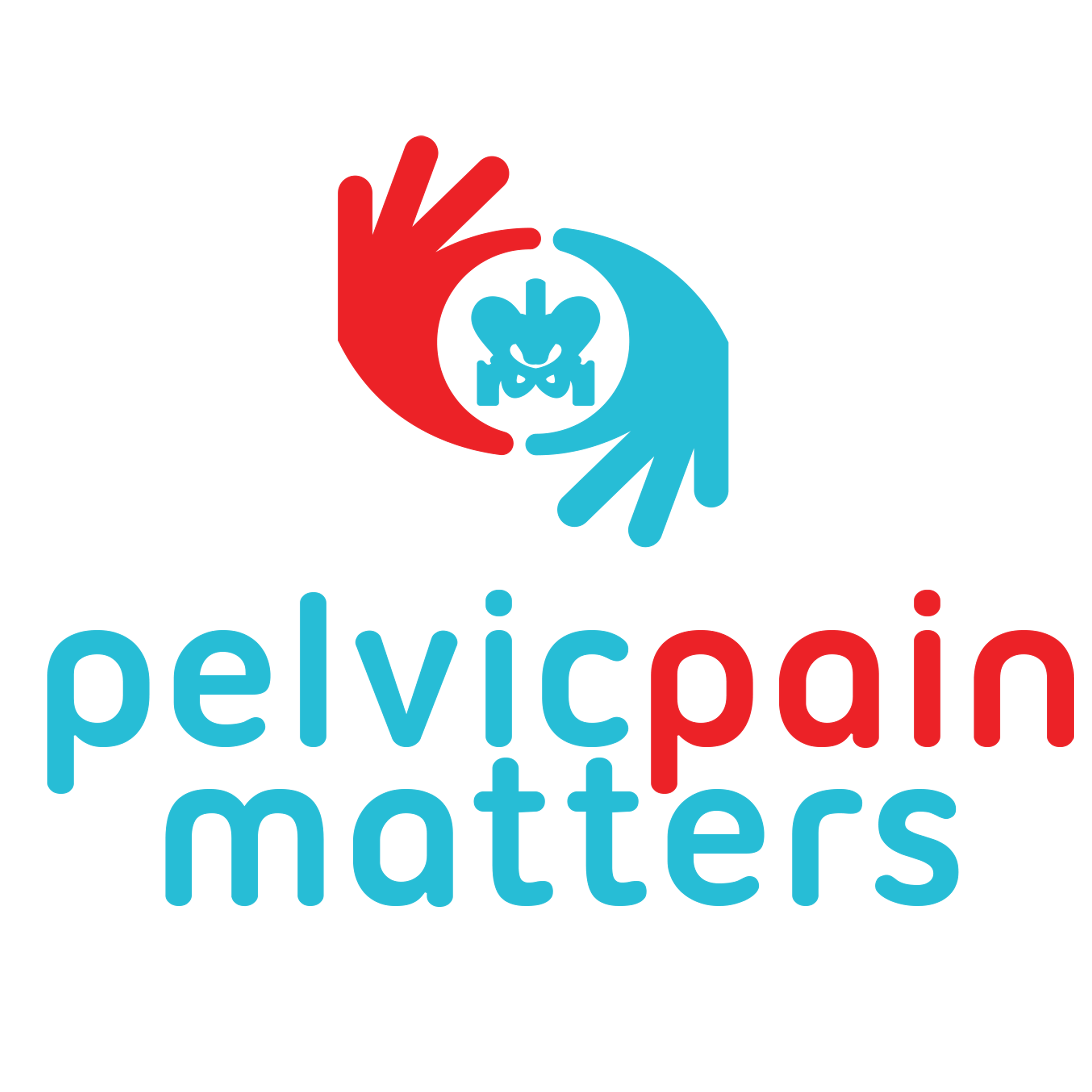 Reflections from Nick Wood Pelvic Pain Matters Webinar